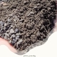 پوکه ماسه ای قروه